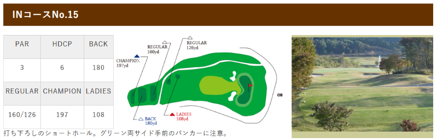 15Hコース