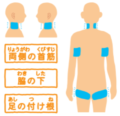 体を冷やすのに効果的な体の部位